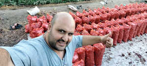 Meilleur prix d'aujourd'hui pour IC Onion en Egypte - Product Image 4