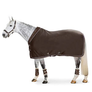 Alfombra de caballo enfriador equino de invierno y verano con tela fuerte Rip stop impermeable y relleno de algodón - Product Image 6
