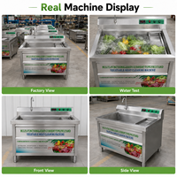 Eddy Current Fruit- en groentewasmachine, roestvrijstalen spoelbakwasser voor restaurantkeuken, rechtstreeks van de fabriek