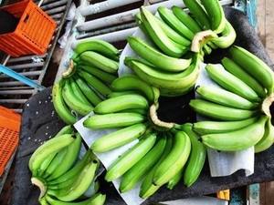 Plátano cavenlavavajillas, fresco - Product Image 2