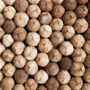 SEMI HUSKED COCONUT/ HUSKED COCONUT from Vietnam supplier Good price High quality 2023/ Tom