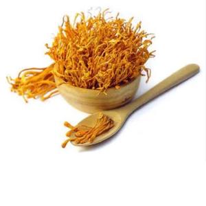 สารสกัดจาก Cordyceps เหลว - Product Image 1