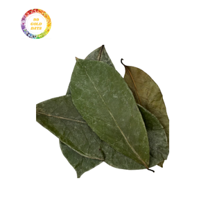 Hojas de Graviola secas de Guanábana de alta calidad con descuento para exportación, grandes ofertas para compradores a granel a precios asequibles - Product Image 6