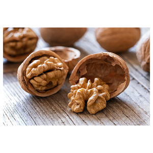 วอลนัทเคลือบเปลือกแบบเร่งด่วนสำหรับผู้ซื้อจำนวนมากในปริมาณมาก - Product Image 4