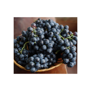 Fruits Frais Doux Raisin Naturel Élevé Doux Éclat Frais Raisins Muscat Raisins Verts Naturels Sans Pépins avec Riche Produit Frais Top - Product Image 6