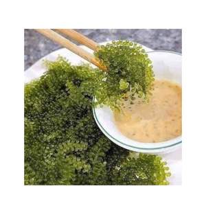 Algues marines vietnamiennes en sachet, best-seller pour la santé et la beauté - Product Image 5