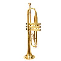 Musical Trumpet Bb Tuned Brass Polish Durable Carry Case & Mouthpiece for Marching Concerts Ceremonies Model ZE0156 Enterprises