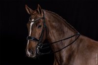 Vente en gros de bride de cheval en cuir véritable de haute qualité Bride en cuir de conception personnalisée PVC Snaffle à bas prix