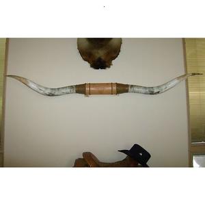 Placa Decorativa de Pared de Cuerno de Buey Hecha a Mano, Estilo Animal, Clásica, Vintage y Ecológica - Product Image 1