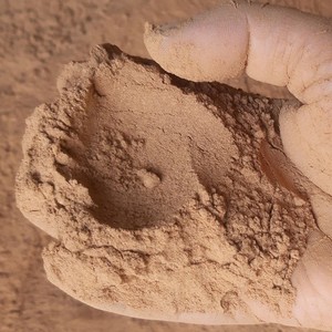 Vente en gros bon marché poudre de joss jigat pour la fabrication de bâtons d'encens ou de bobines de moustiques quantité en vrac - Product Image 2