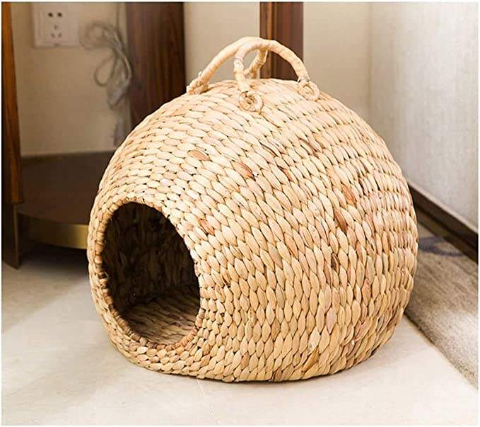 ธรรมชาติตามธรรมชาติ