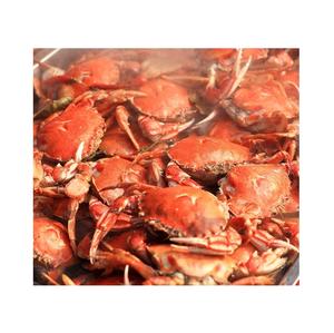 Crabe royal rouge frais de première qualité, stock en vrac, exportations en gros - Product Image 5