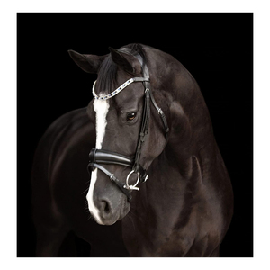Lumiere ecuestre Anastasia cuero negro caballo brida convertible portátil - Product Image 2