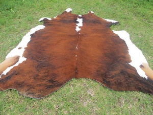 Peaux de vache/mouton brutes du Kenya 2025, qualité 1, prêtes à être expédiées, à prix abordables - Product Image 2