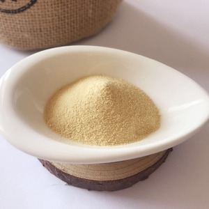 Vente en gros de durians naturels purs en poudre, extrait en poudre de jus de durian fabriqué au Vietnam - Product Image 5