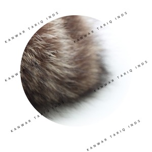 Haute Qualité 100% Coton Snapback Cap Nouvelle Mode Hiver Chaud Bonnet pour Adultes Casual Laine Tissu avec Logo pour Voyage - Product Image 5