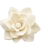 Sola Wood Flower diffuseur de roseau Parfum d'ambiance Fait à la main Sola Flower Echo Friendly Sola Flower Natural to aérer Freshen Reed
