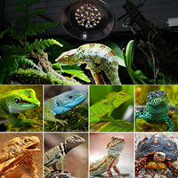 Lámpara para Reptiles BBG, Luz UVB con Regulador de Intensidad y Temporizador para Reptiles de Selva Tropical y Desierto