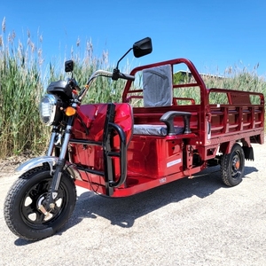 Tricycle utilitaire agricole numérique automatique portable haute performance neuf à vendre pour usage agricole - Product Image 1