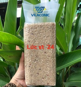 Gạo lứt hạt dài/hạt vừa/vòng hạt ngắn Riz Chất lượng cao bán buôn ms. Emily + 84964660879 - Product Image 4