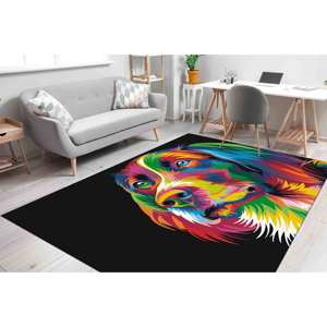 Alfombra para Perros con Diseño de Arcoíris: Alfombra Interior Delgada Antideslizante con Estampado, Alfombra Suave con Pelo Corto - Product Image 2