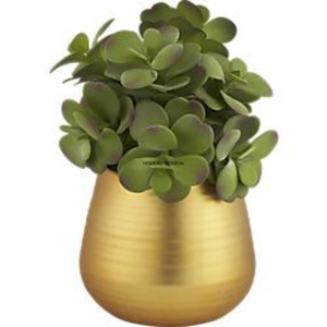 Maceta y maceta de flores de latón y Metal dorado mate de diseño Simple para decoración de jardín y sala de estar, maceta y maceta para la venta - Product Image 1