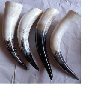 Cornes de buffle naturelles faites sur mesure, idéales pour la décoration de la maison et pour les magasins de fournitures viking pour la revente - Product Image 5