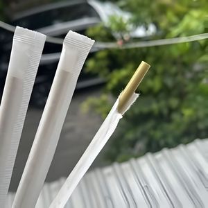 Pailles en herbe biodégradables pour bar et café / Pailles en herbe d'eau du Vietnam pour une vie verte - Product Image 1