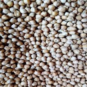 Pois chiches biologiques de qualité supérieure, séchés, faibles en sucre, croustillants, emballage en vrac, livraison rapide, en stock, meilleure offre - Product Image 1