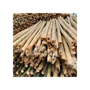 รั้วไม้ไผ่ธรรมชาติราคาขายส่ง! เสาไม้ไผ่ดิบสำหรับทำสวนและตกแต่ง! เสาไม้ไผ่ธรรมชาติ - Product Image 1