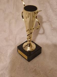 Premio Trofeo de Oro-Grabado personalizado-Inserto personalizado - Product Image 4