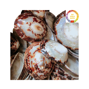 Gobelet à vin en coquille naturelle personnalisé pour la décoration de mariage de plage et les idées de service de cocktails exotiques - Product Image 2