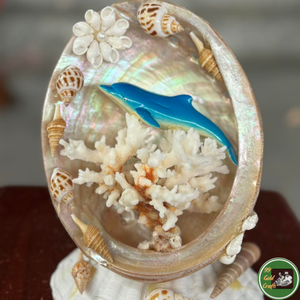 Decoración de Conchas Marinas Hechas a Mano con Material Natural de Conchas Marinas para Decoración de Interiores Vietnam - Product Image 4