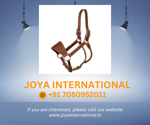 Cuir Ranch Halter-Pleine Taille plié - Product Image 2