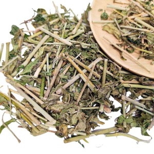 ใบคลินาแอนธัส นูแทนส์ แห้งธรรมชาติ 100% / หญ้างูซาบาห์ / ต้นงู สำหรับชาสมุนไพร - Product Image 1