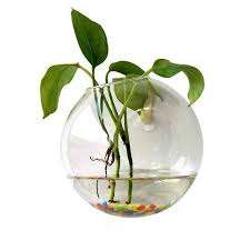 Brass 6" or 8" Glass Terrarium for Indoor Plants,Wholesale Gold Terrarium Geometric Glass Terrarium Geometric Designs Polygon - Product Image 2