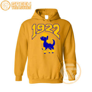 Sudadera con capucha bordada de lana de algodón Sigma Gamma Rho personalizada, suéter de alta calidad de la Hermandad, ropa griega, sudaderas con capucha para mujer - Product Image 4