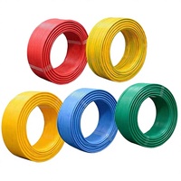 Kabel Listrik 10AWG 2 Konduktor Merah Hitam PVC Paralel Bebas Oksigen Tembaga Berlapis Timah 600V untuk Lampu LED Strip, Penerangan, dan Otomotif