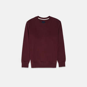 Sudadera Personalizada con Logotipo 2025, 100% Algodón Puro, Cuello Redondo, Corte Regular, Felpa Gruesa, para Hombre - Product Image 1