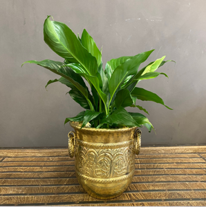 Jardinière grise hexagonale au prix de gros, pot en céramique moderne avec support en métal, jardinière grise et dorée, jardinière décorative élégante. - Product Image 6