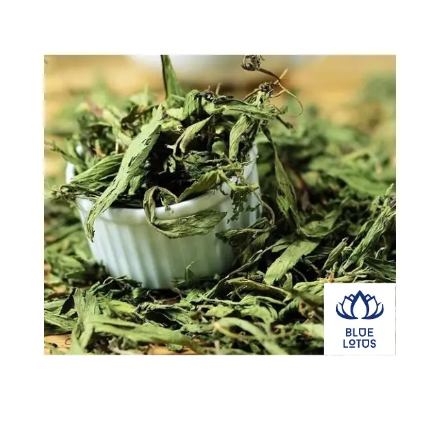 Best Selling Dried Stevia Leaf Tea Herbal Tea From Vietnam