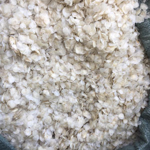 Escamas de pescado seco fabricadas en Vietnam, mejor oferta, escamas de pescado seco, precio más bajo al por mayor - Product Image 3