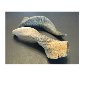 Cuerno de cabra acural, artesanía brillante hecha a mano - Product Image 1