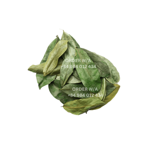 Feuilles de Graviola entières sèches organiques d'origine du Vietnam pour l'emballage d'OEM de thé pour l'exportation prix bon marché - Product Image 1