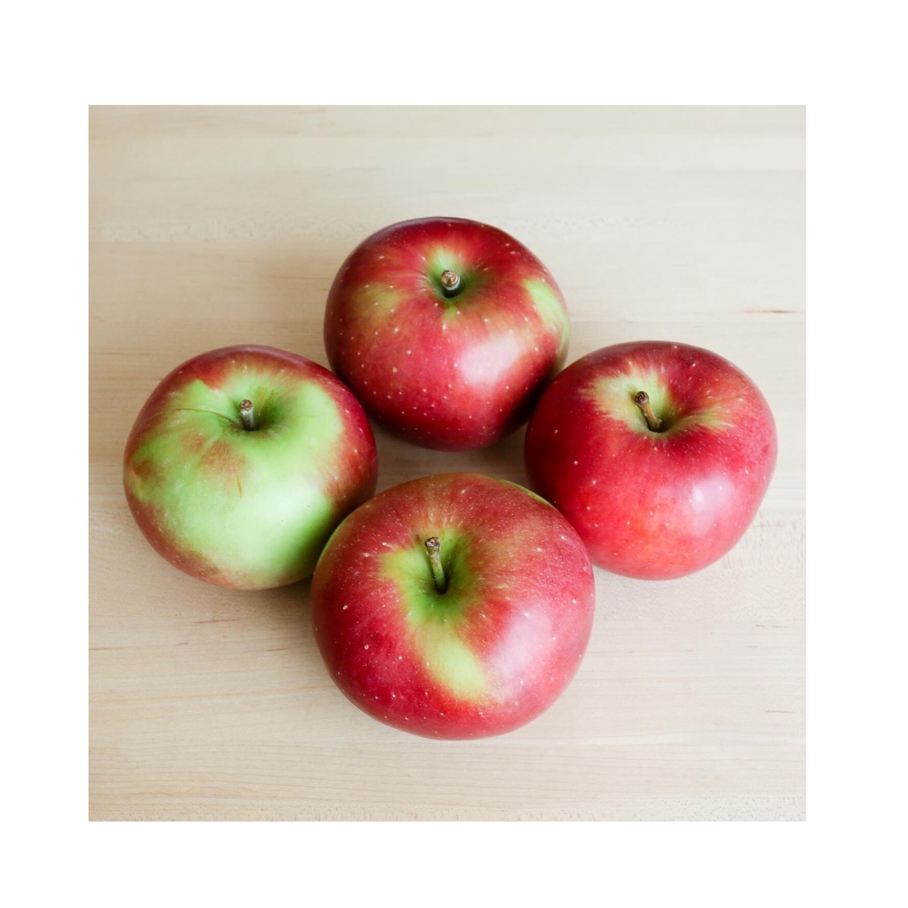 Pommes Winesap de bonne qualité | Pommes Farm Fresh Fuji Gala disponibles en vrac frais Stock au prix de gros avec livraison rapide