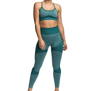 Respirant vêtements de sport pour femmes Yoga sans manches soutien-gorge et Leggings ensemble vêtements d'entraînement collants maigre Legging sans couture haut court Yoga costume - Product Image 1