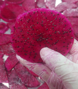 Tranches de fruits du dragon séchées de qualité supérieure Snack de fruits tropicaux naturels pour la vente en gros et en vrac sans sucre ajouté fabriqué au Vietnam - Product Image 2