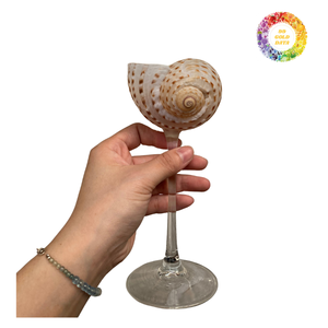 แก้วทรงเปลือกหอยสไตล์เวียดนามคุณภาพสูงสำหรับค็อกเทลแชมเปญและม็อกเทล - Product Image 4