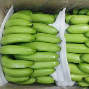 Banane verte biologique certifiée UE, 100% fraîche, naturelle et sucrée, prête à l'exportation - Product Image 1