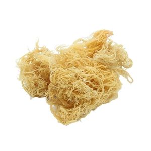 มอสทะเลตากแห้งจำนวนมาก-ราคาส่งตรงจากโรงงานคุณภาพระดับพรีเมี่ยมพร้อมจัดส่งทั่วโลก! - Product Image 1